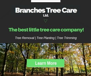 Branches Tree Care Ltd.