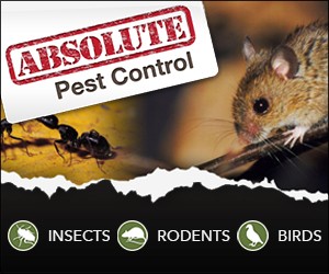 Absolute Pest Control Inc.