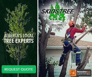 Skidstree Services