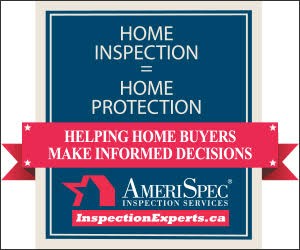 meriSpec Inspection Service