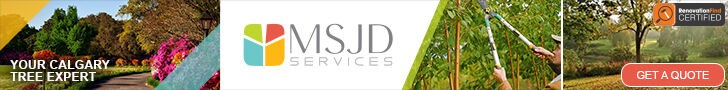 MSJD Services