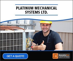 Platinum Mechanical Systems Ltd.