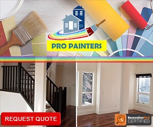 Pro Painters Ltd.
